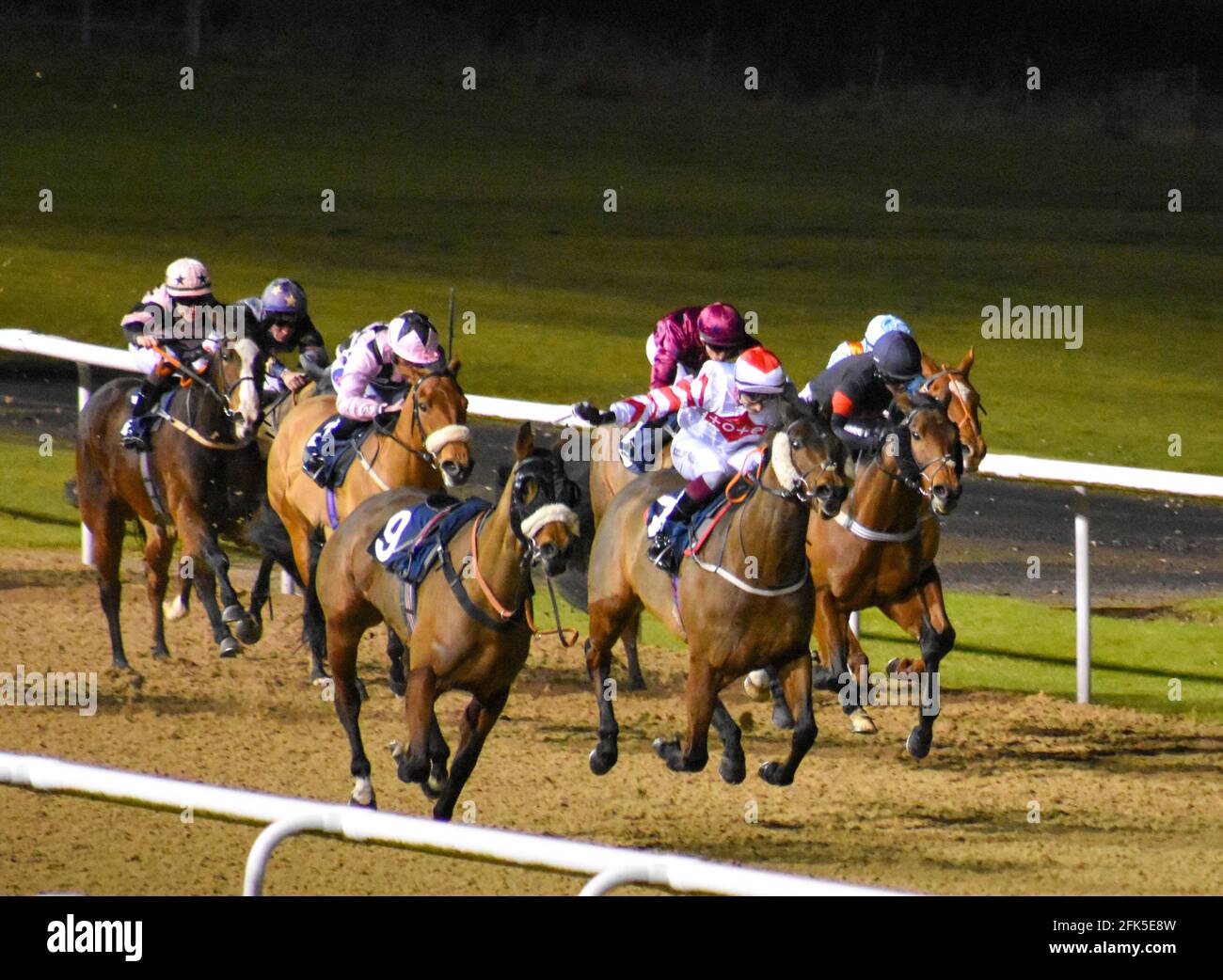 Wolves Races Night Horse Racing at Wolves Races, Wolverhampton Stock Photo - Alamy