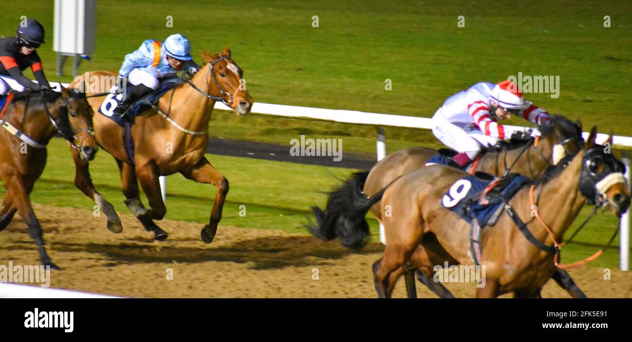 Horse racing races wolverhampton hi-res stock photography and images ...