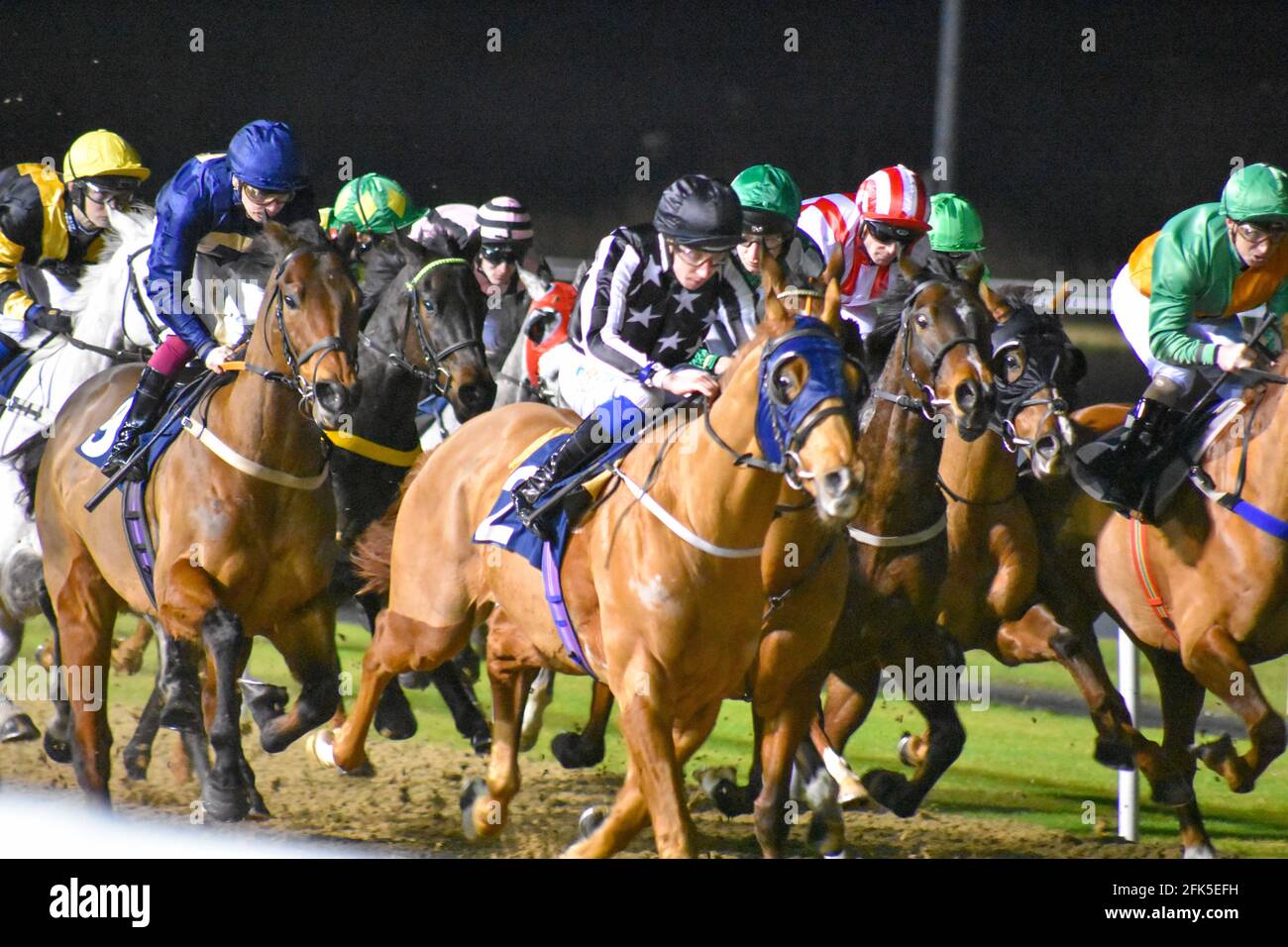 Wolves Races Night Horse Racing at Wolves Races, Wolverhampton Stock Photo - Alamy