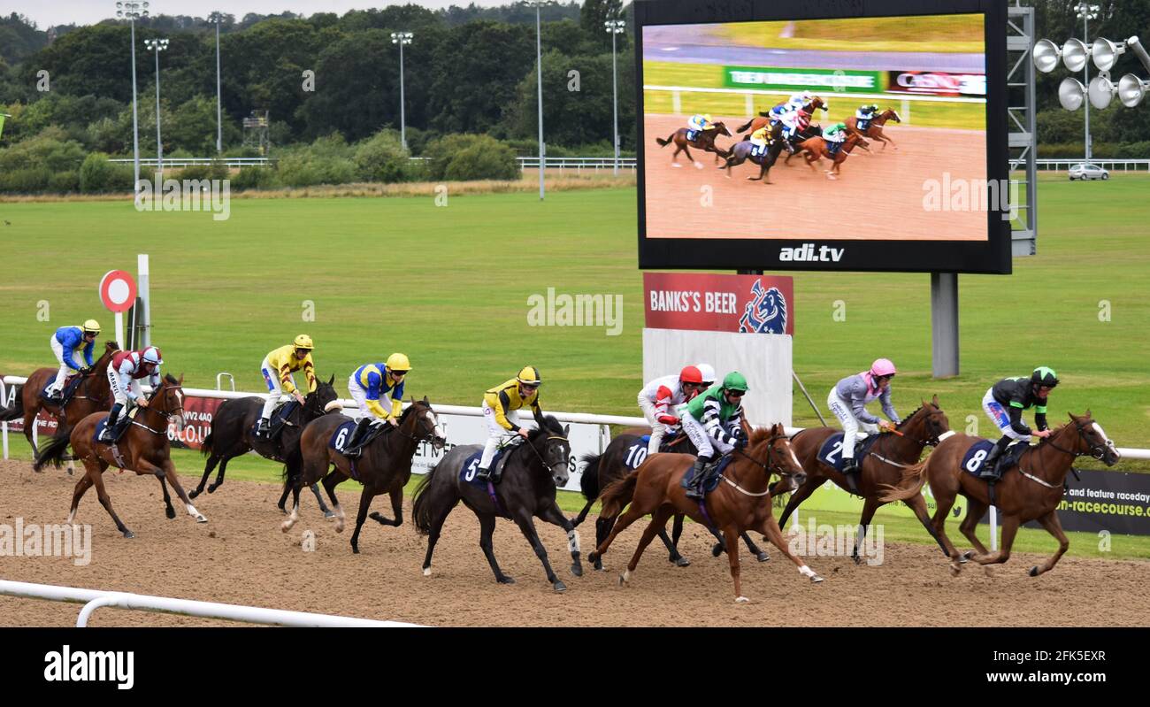 Wolves Races Wolverhampton Races, Wolves Stock Photo - Alamy