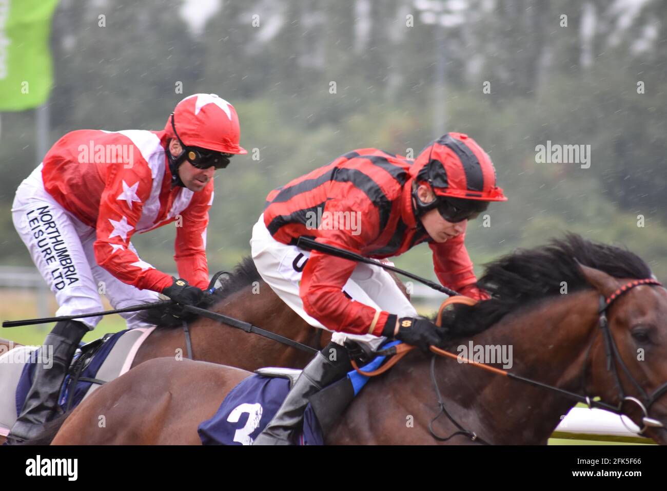 Wolves Races Wolverhampton Races, Wolves Stock Photo - Alamy