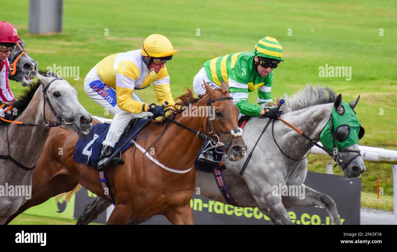 Wolves Races Wolverhampton Races, Wolves Stock Photo - Alamy