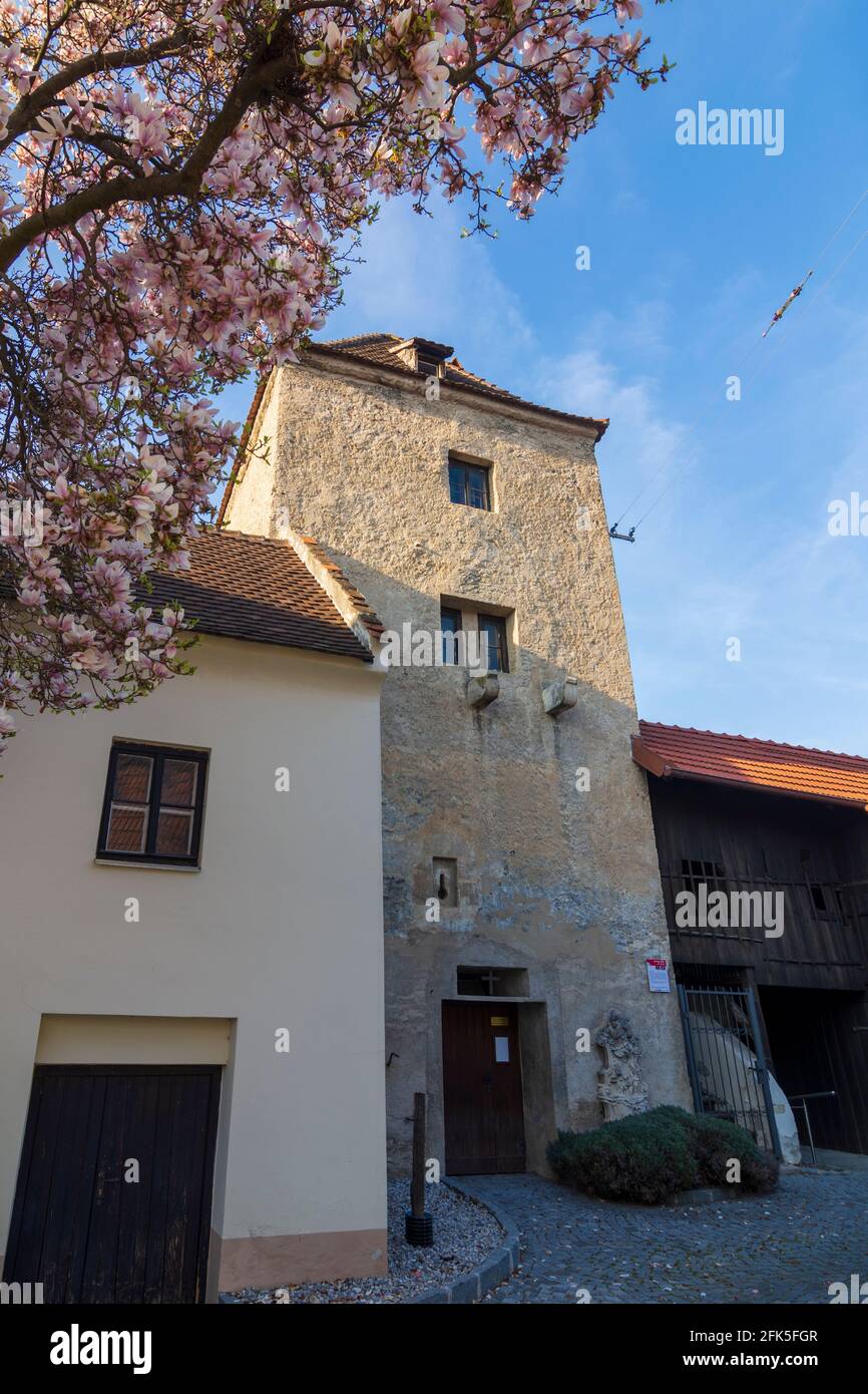 Traismauer: tower Hungerturm in Donau, Niederösterreich, Lower Austria, Austria Stock Photo