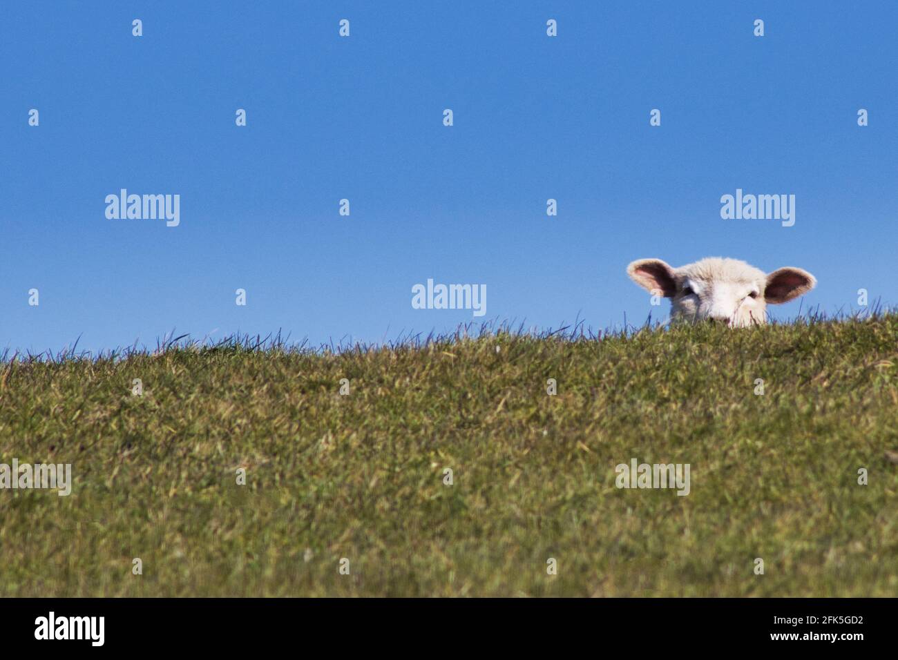 In sich ruhen hi-res stock photography and images - Alamy