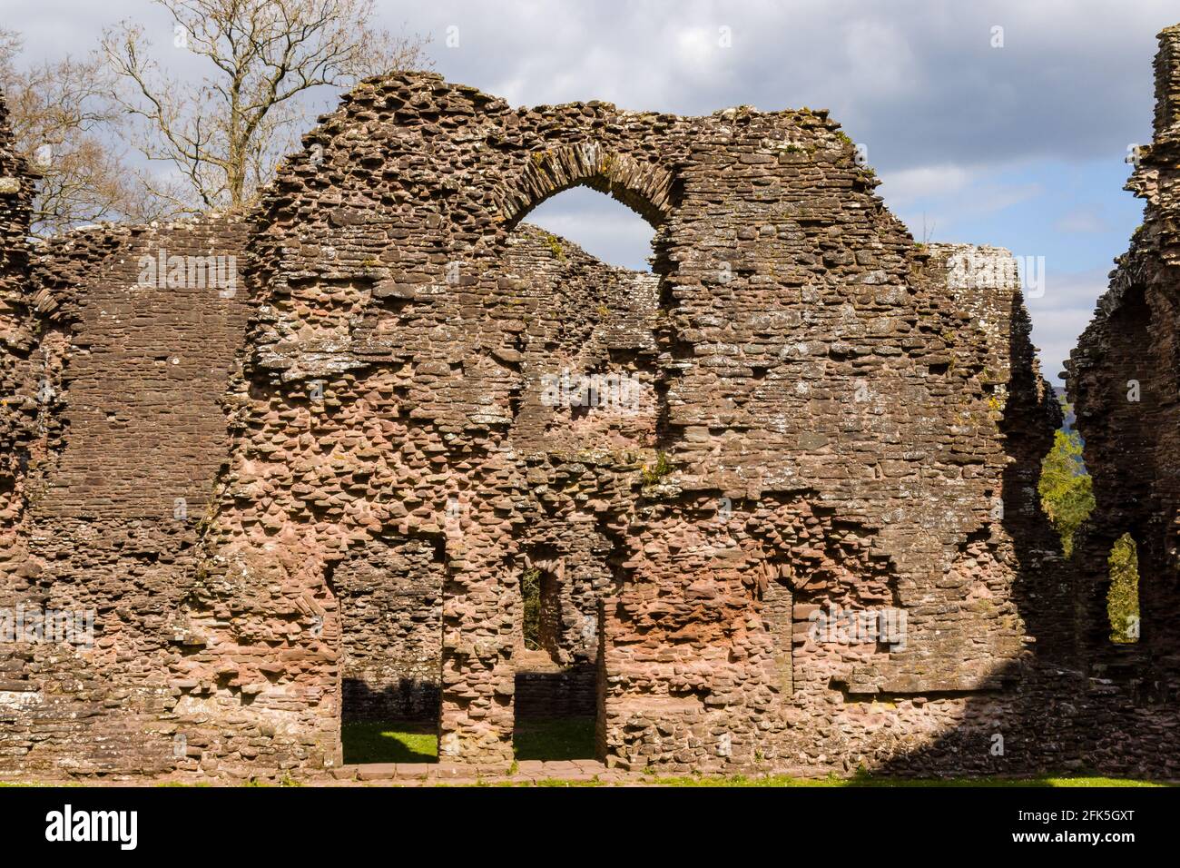 Walls and remains of a 12th century medieval castle in Wales (Grosmont Castle,Monmouthshire) Stock Photo