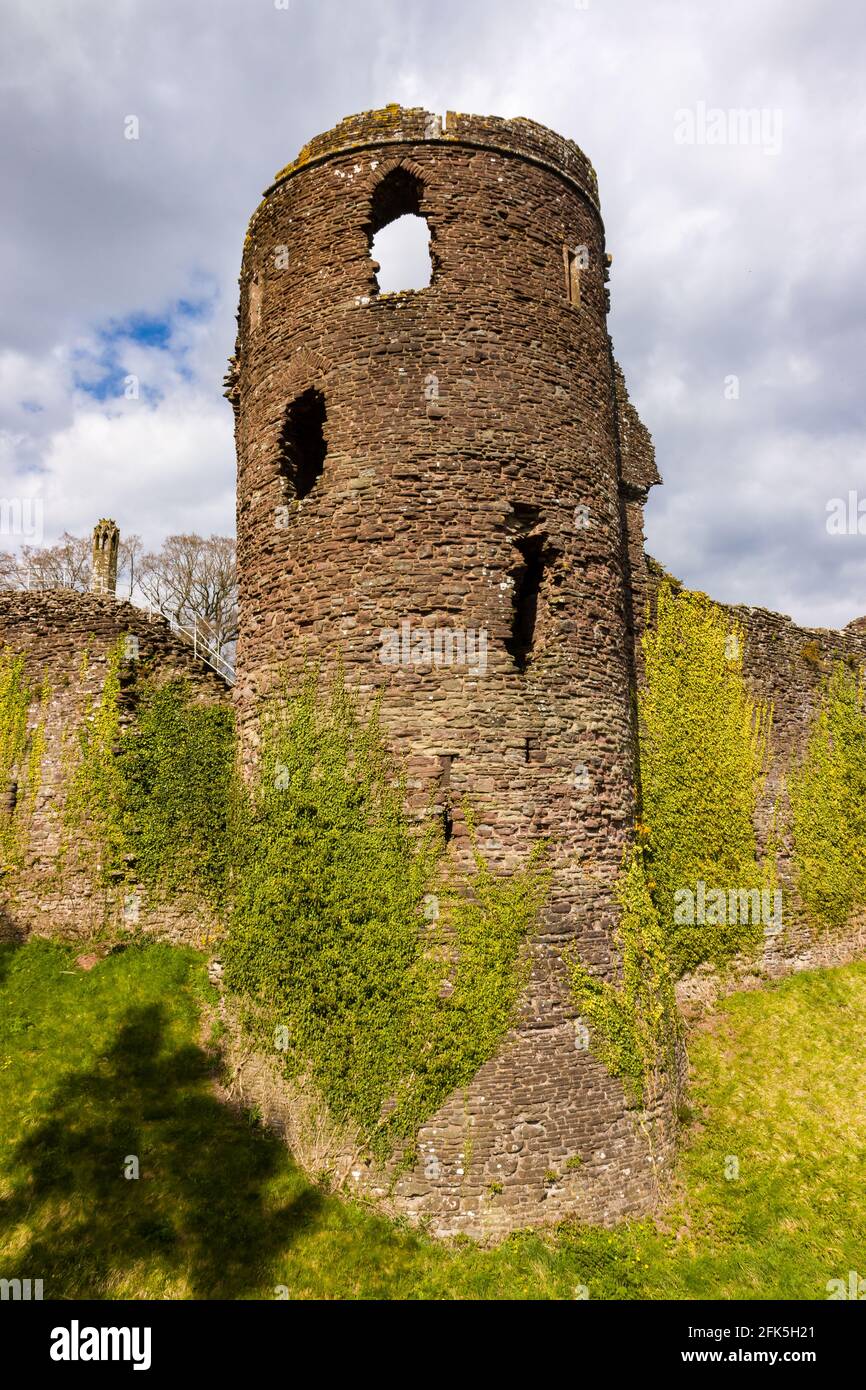 Walls and remains of a 12th century medieval castle in Wales (Grosmont Castle,Monmouthshire) Stock Photo