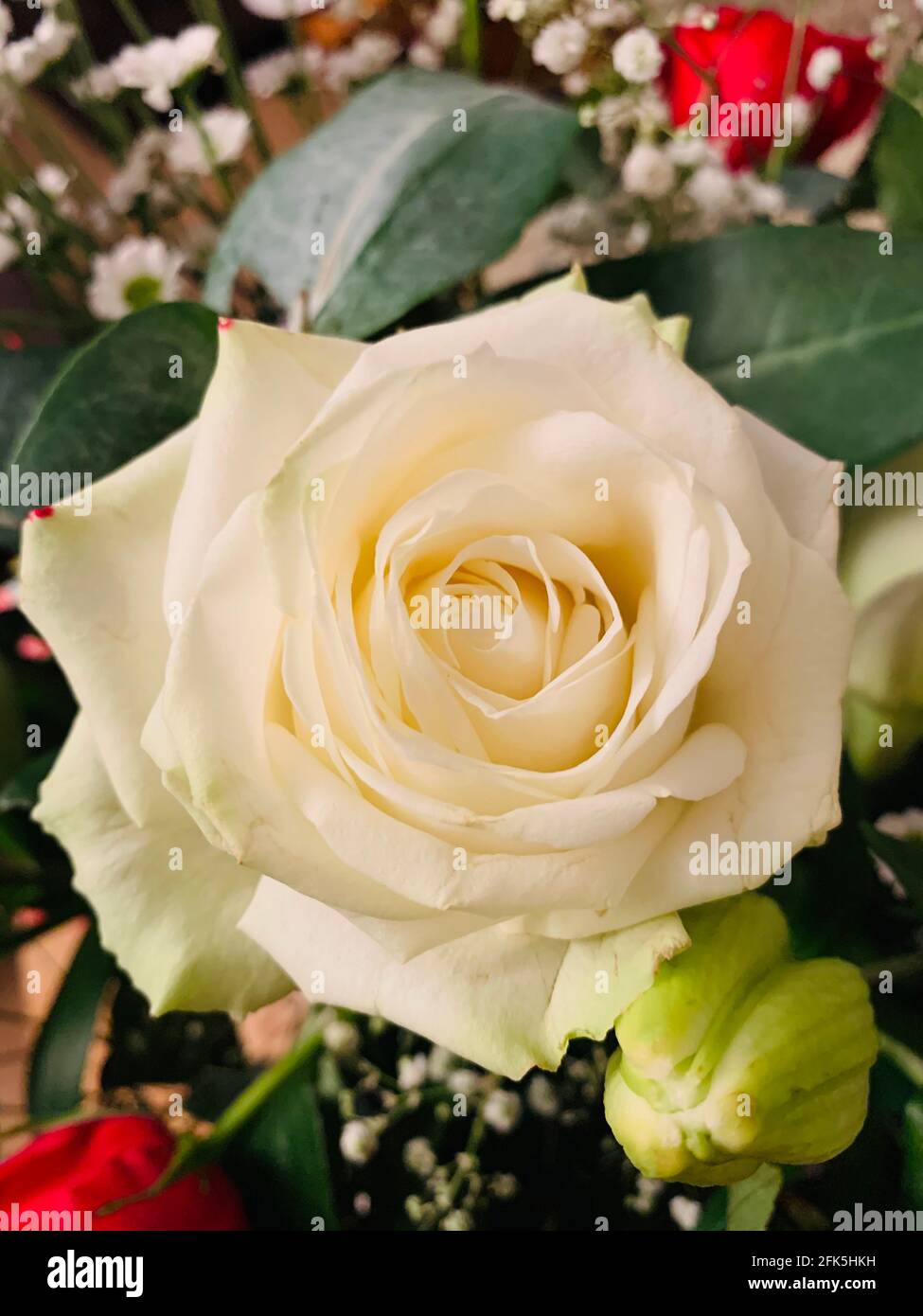 White roses, flower bouquet, flower arrangement Stock Photo