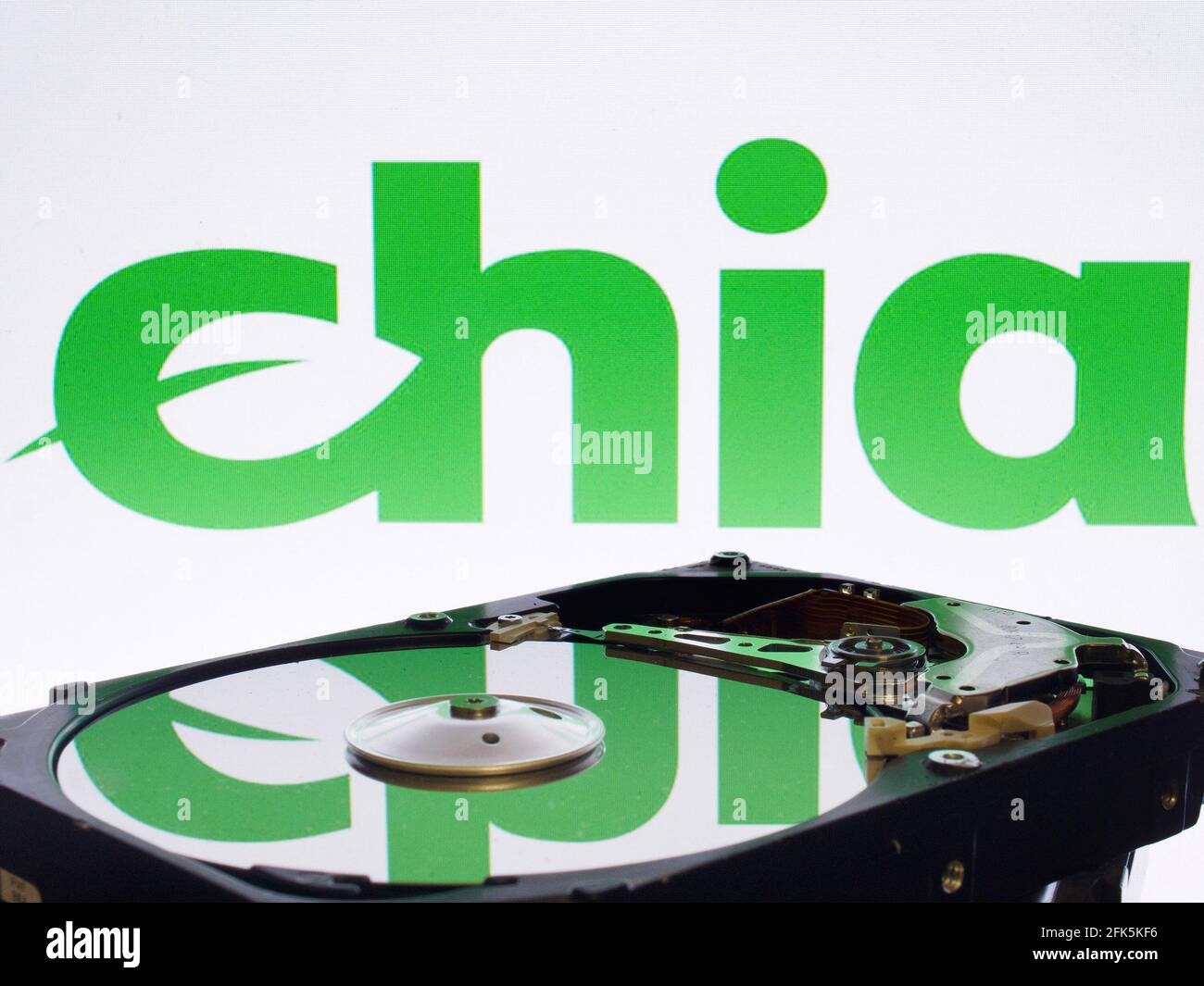 Chia Network Chia Plotting Chia Ssd Speed Chia Coin Hard Drive Mining  Cryptocurrency Stock Illustration 1960416037