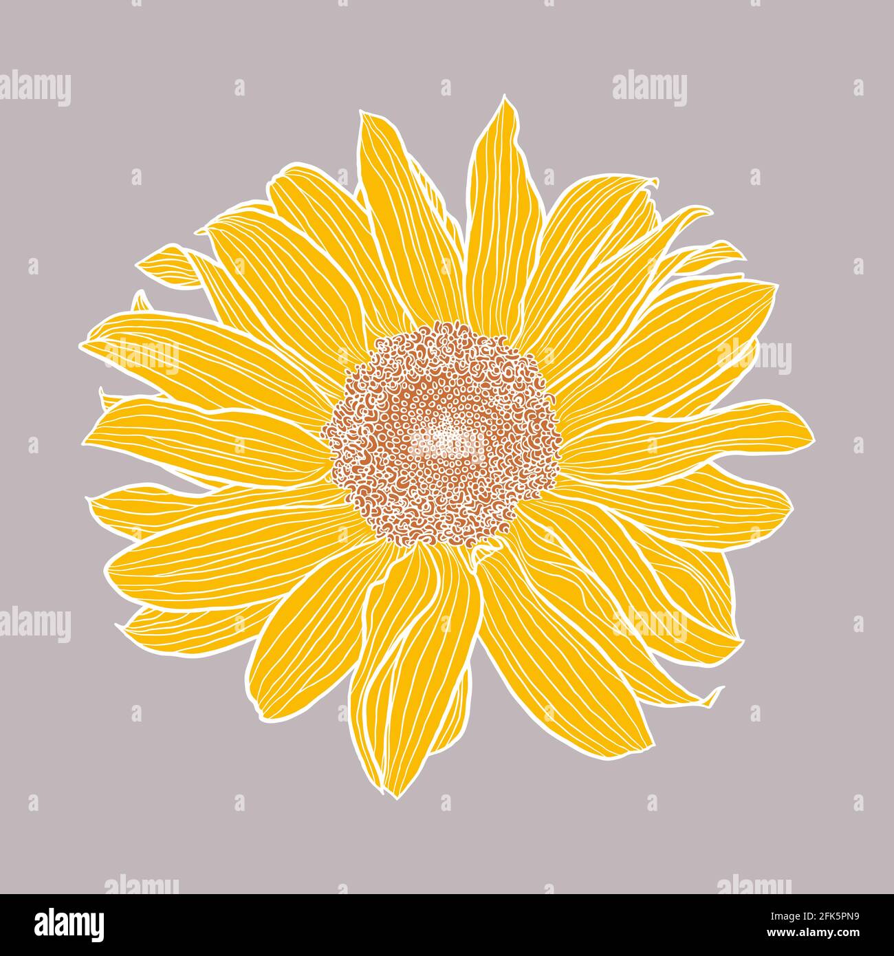 Single sunflower head digital drawing, yellow and terracotta with white outline on gray. Floral vector illustration in modern style. Decorative design element for wallpaper, wrapping, textile, fabric. Stock Vector
