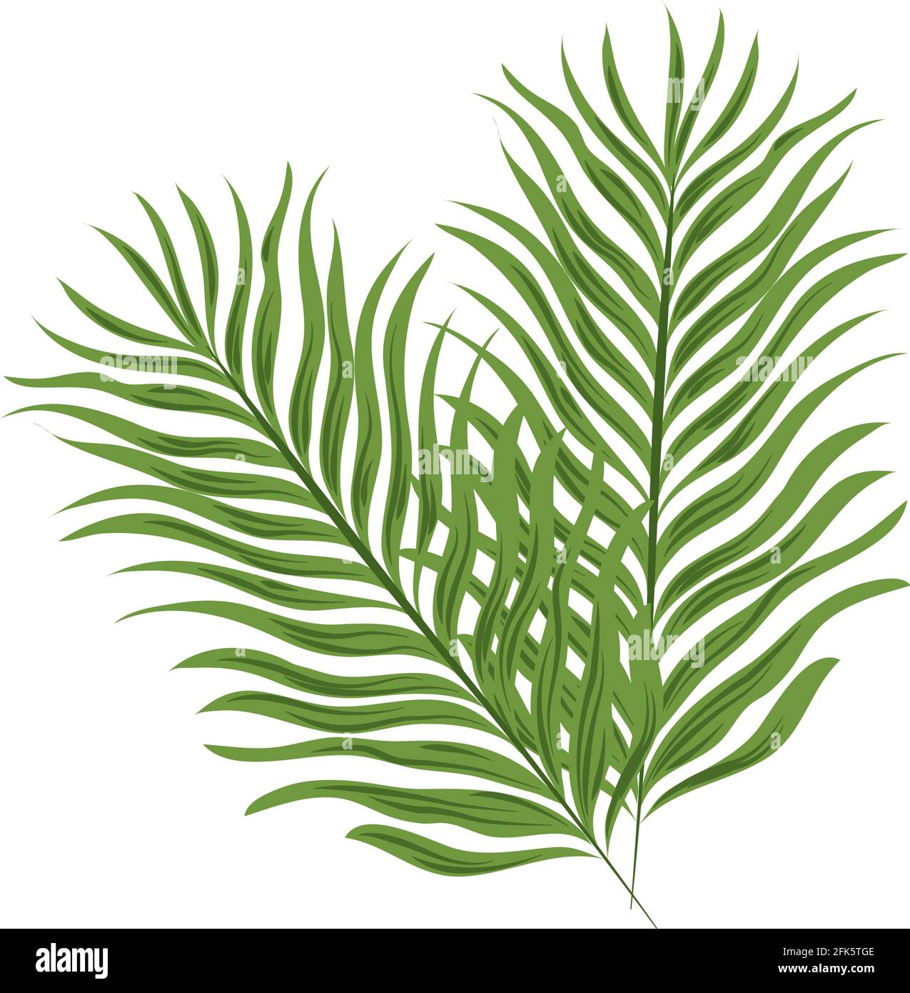 palm branch tropical isolated icon Stock Vector Image & Art - Alamy