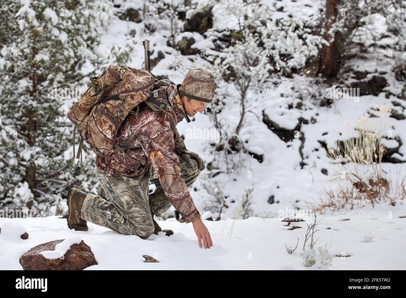 gun hunter in snowy scene kneeling to inspect deer tracks Stock Photo
