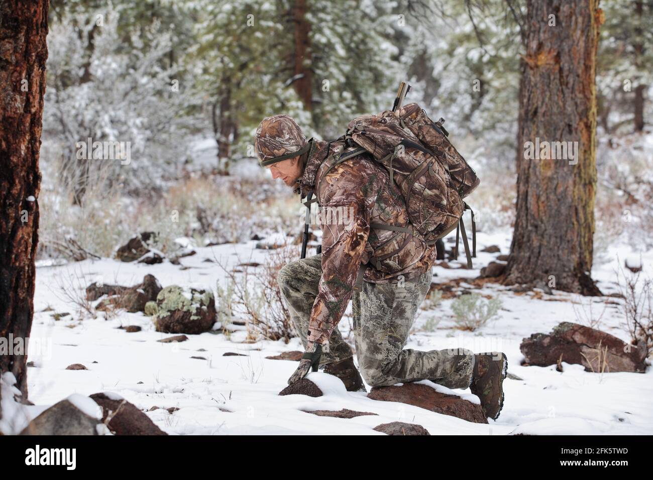 gun hunter in snowy scene kneeling to inspect deer tracks Stock Photo