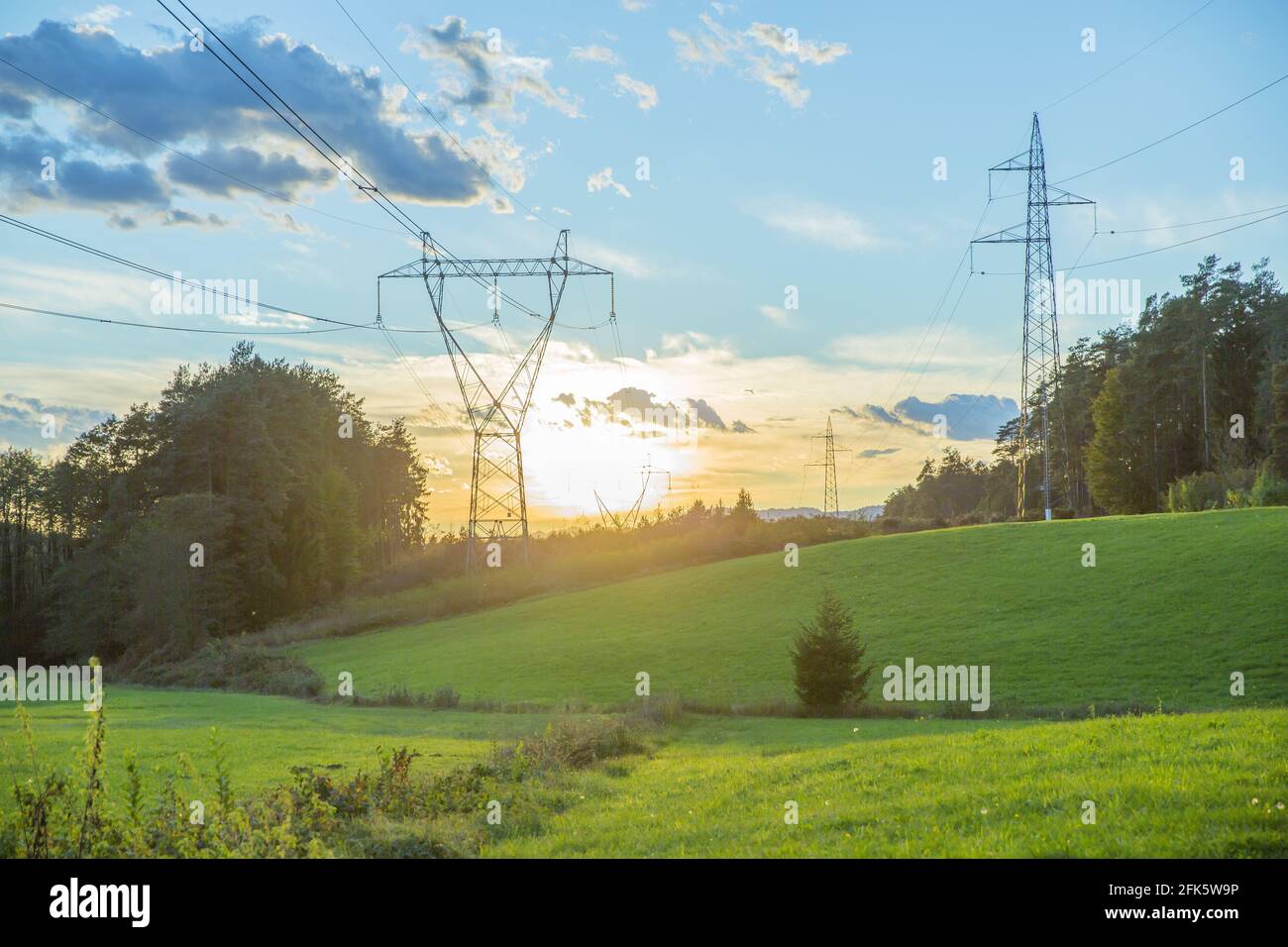 Field with trees and power towers during a scenic sunset Stock Photo ...