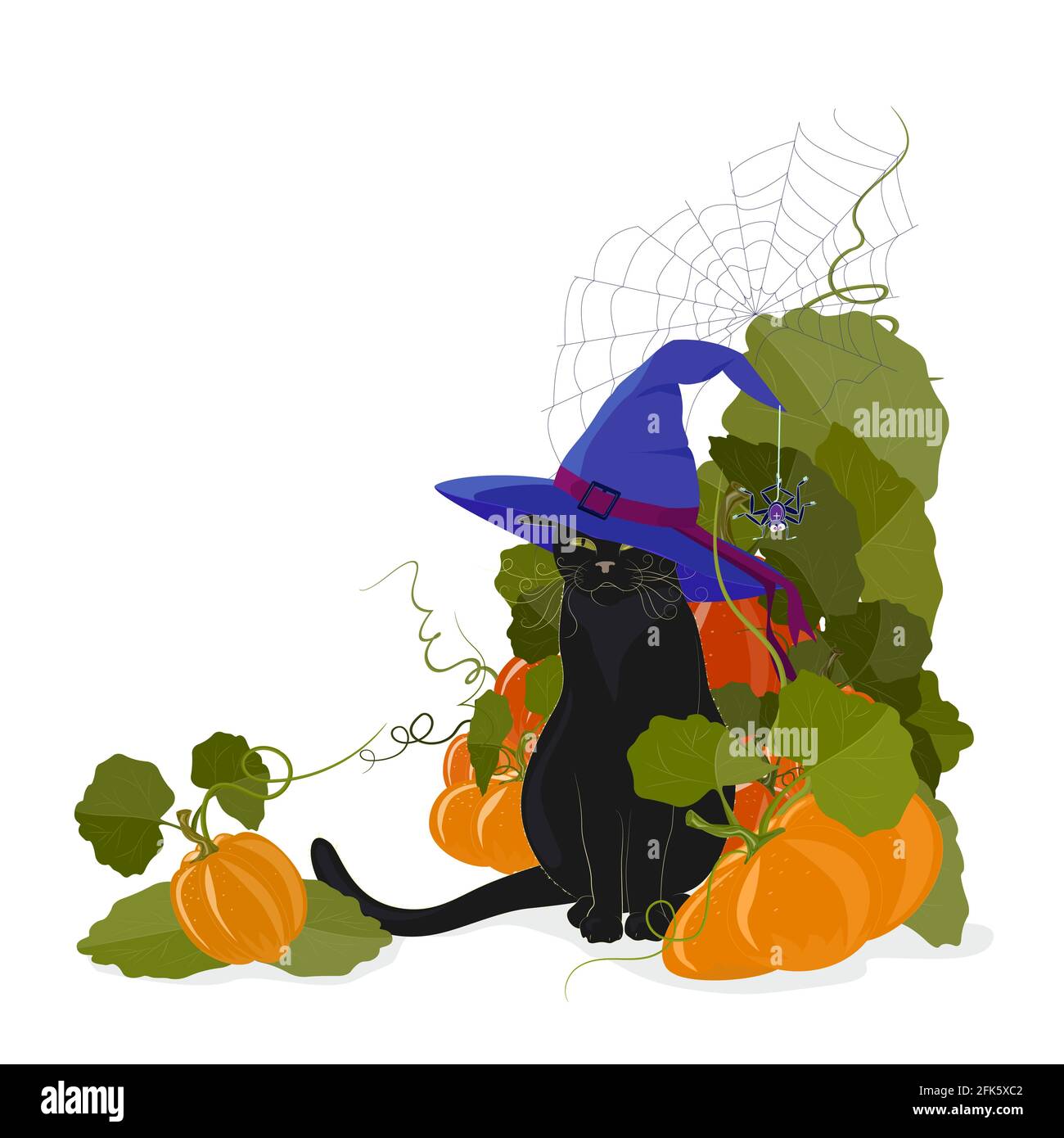 A black cat in a witch's hat sits in a pile of Halloween pumpkins ...
