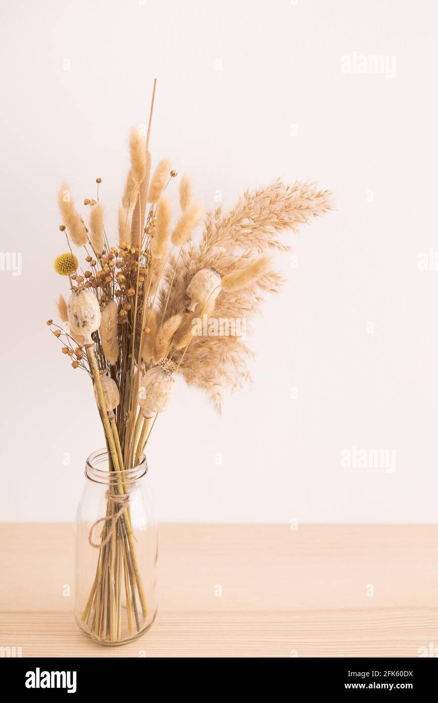 Bouquet of beige dried flowers in a glass vase on white background. Home  decoration concept. Copy space Stock Photo - Alamy