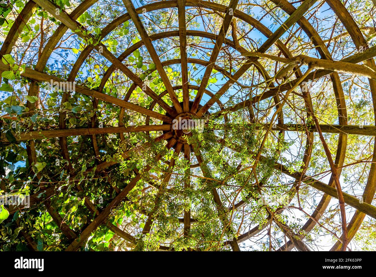 Overgrown roof at the Hampstead Heath Pergola and Hill Gardens, North London, UK Stock Photo