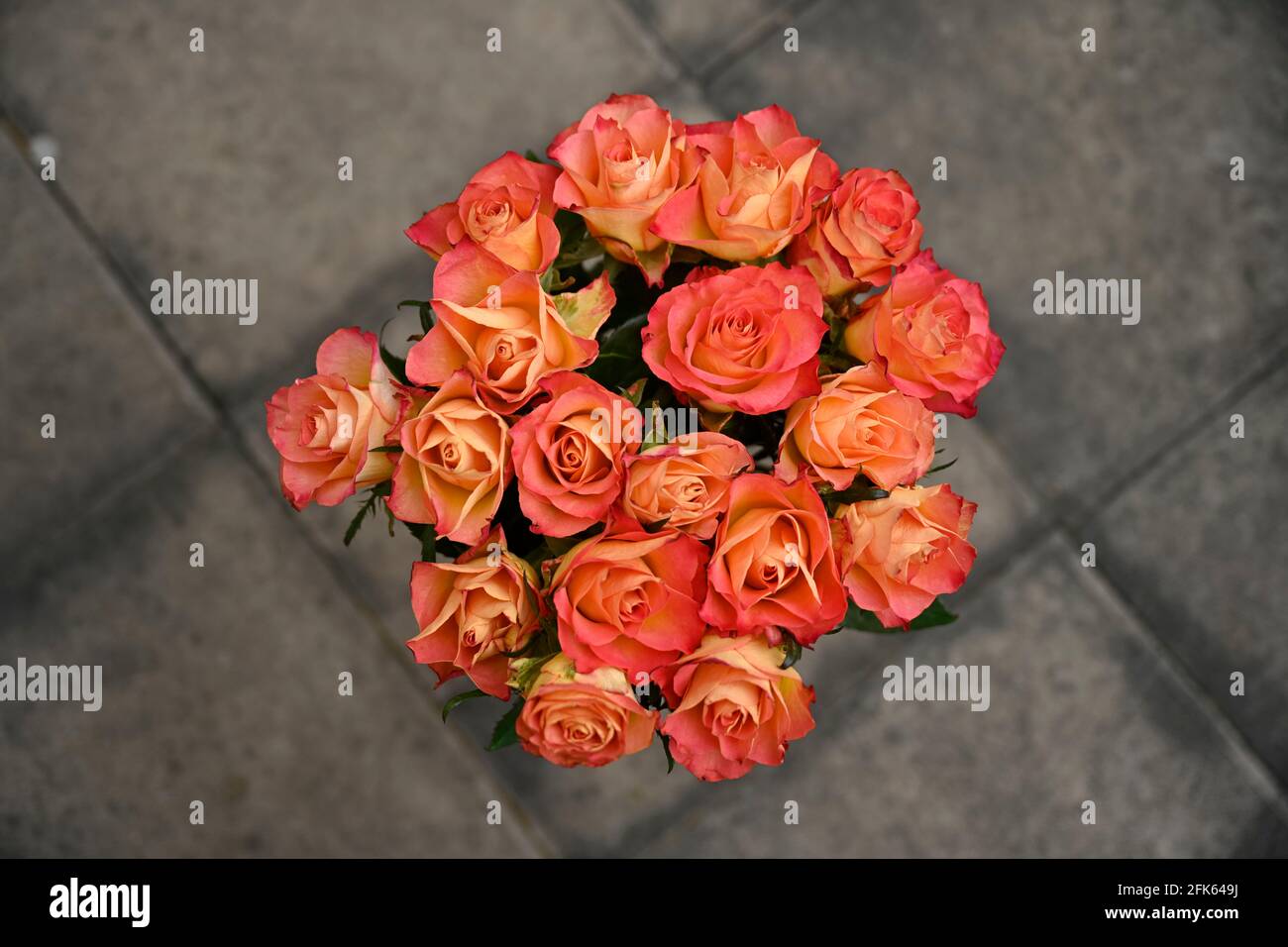 Dozen 12 red roses hi-res stock photography and images - Alamy