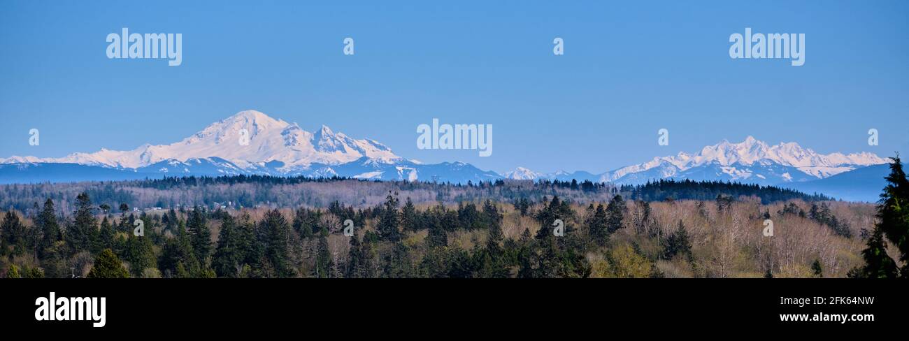 Looking over a forested ridge from White Rock, BC to majestic, snow-covered Mount Baker and the Three Fingers in Washington State. Stock Photo