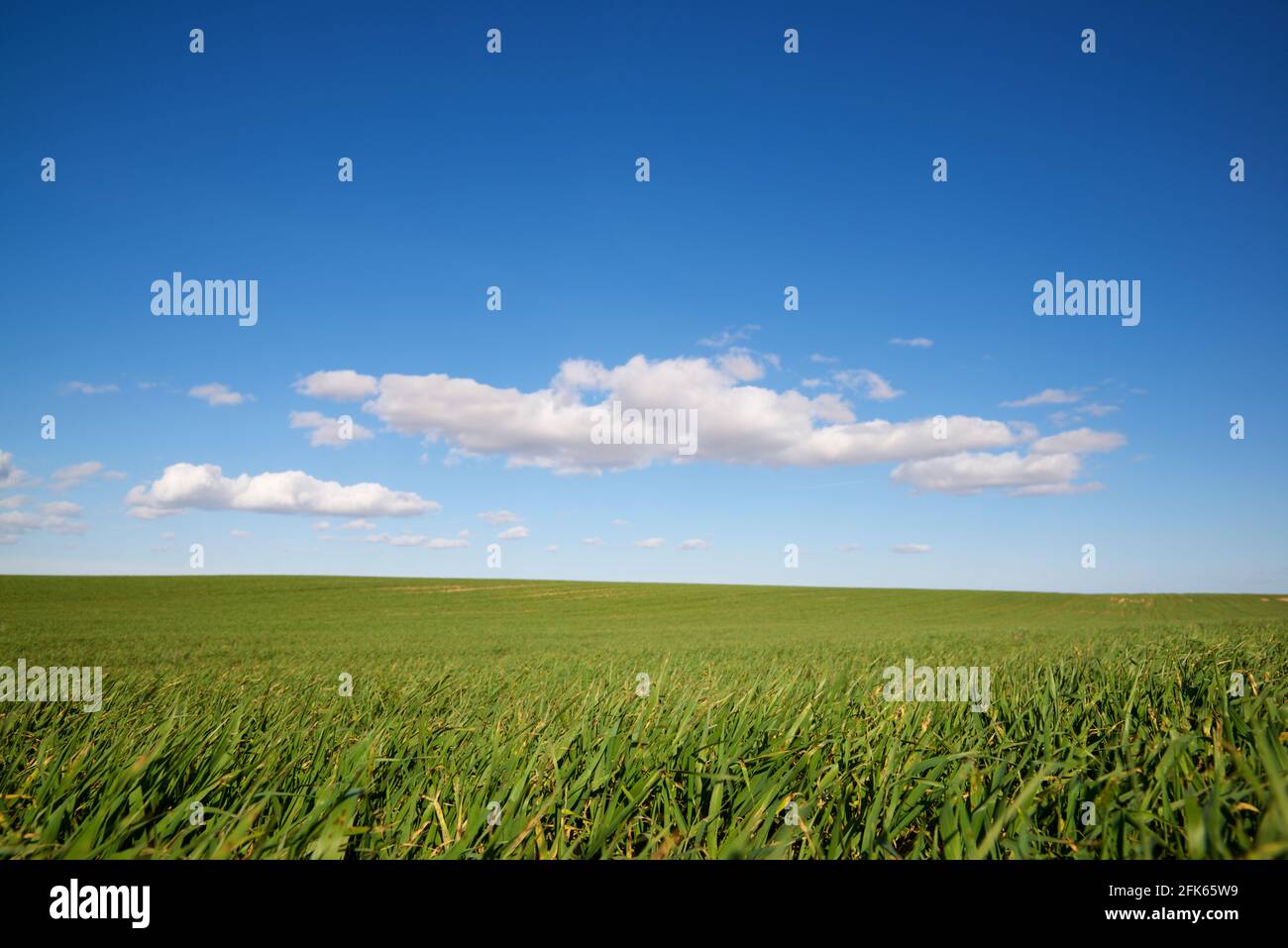 Field of cultivation, during spring, in Aragon, Spain. Stock Photo