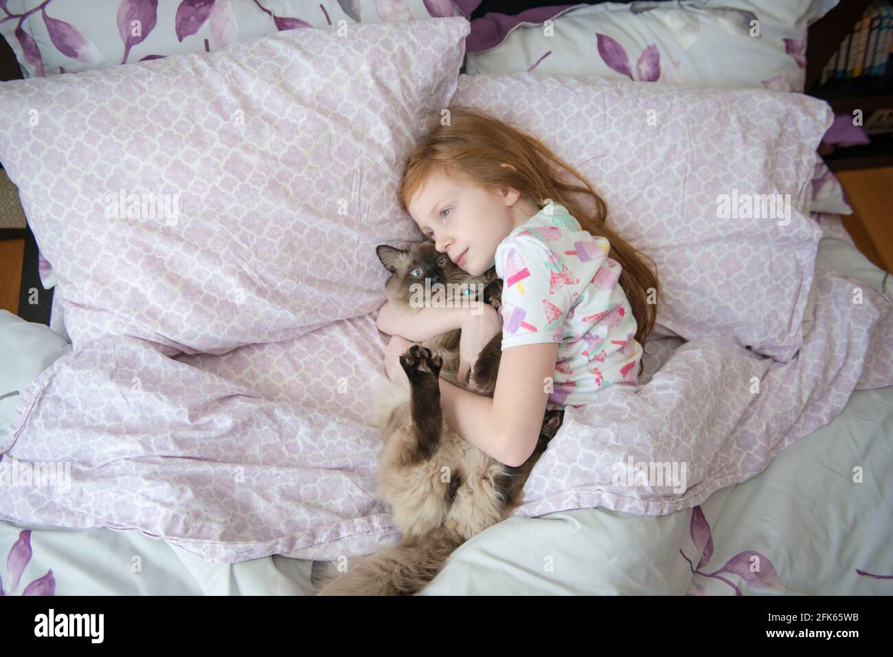 Sick Little Girl Cuddling Cat in Bed Stock Photo Alamy