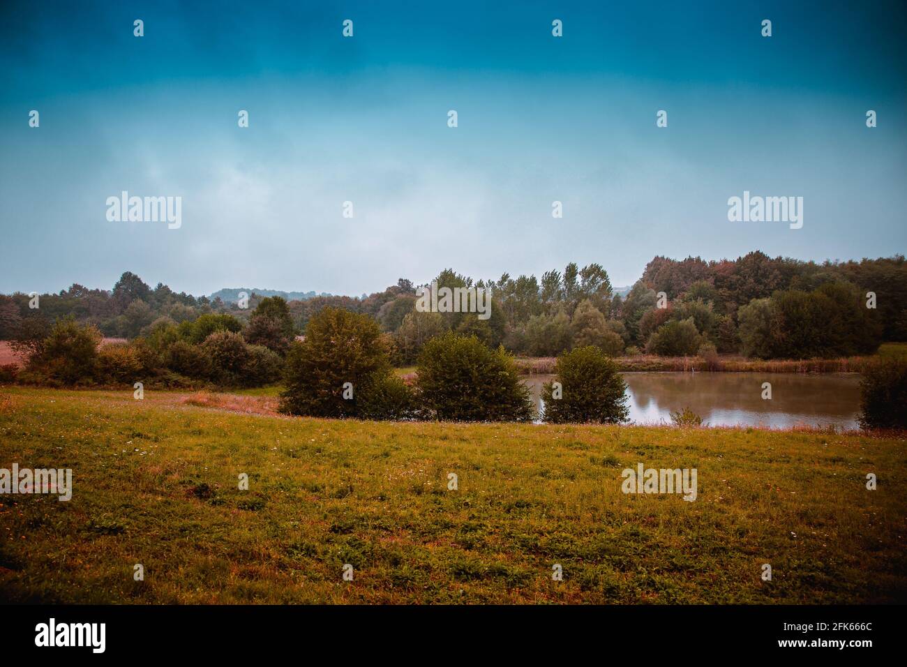 Mesmerizing view of a beautiful lake surrounded by green trees against ...