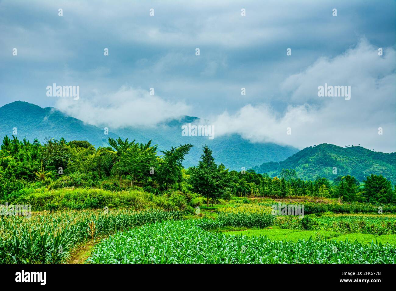 Countryside scenery in summer season Stock Photo