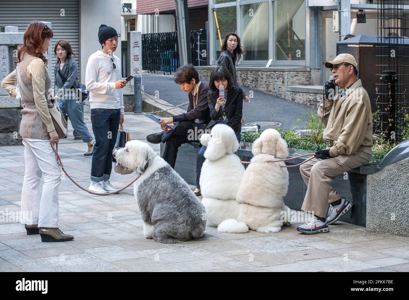 Owner tokyo hires stock photography and images Alamy