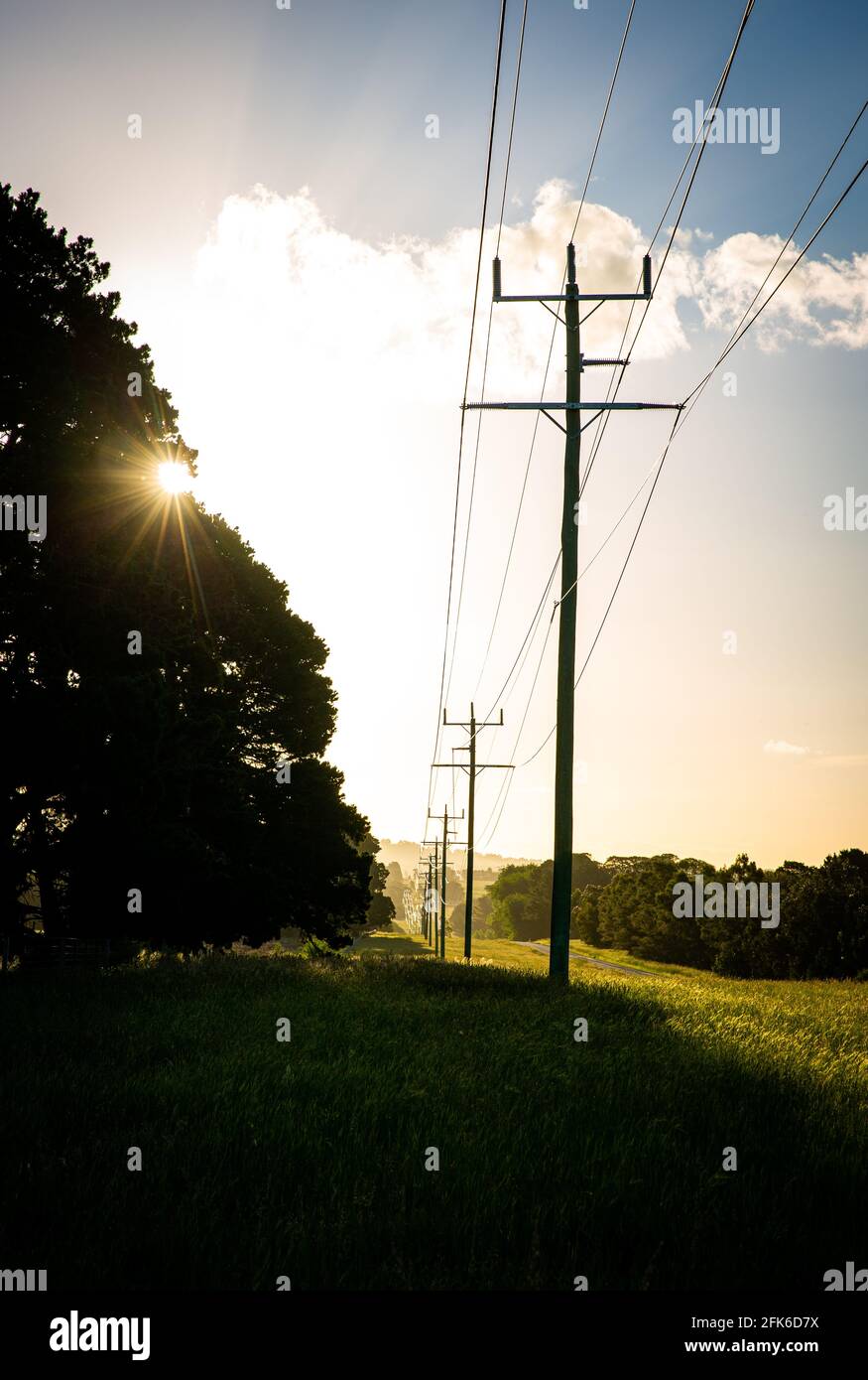 Power poles running along a rural road in Victoria, Australia Stock Photo