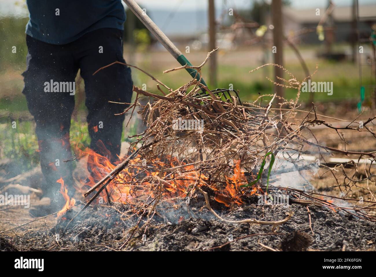 Indian Gardener High Resolution Stock Photography and Images Alamy