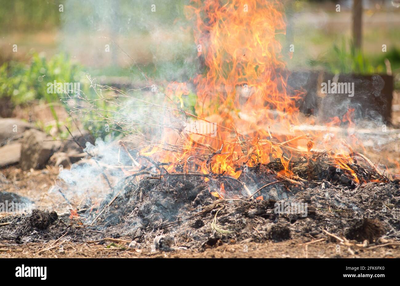 Burning Weeds Garden High Resolution Stock Photography and Images Alamy