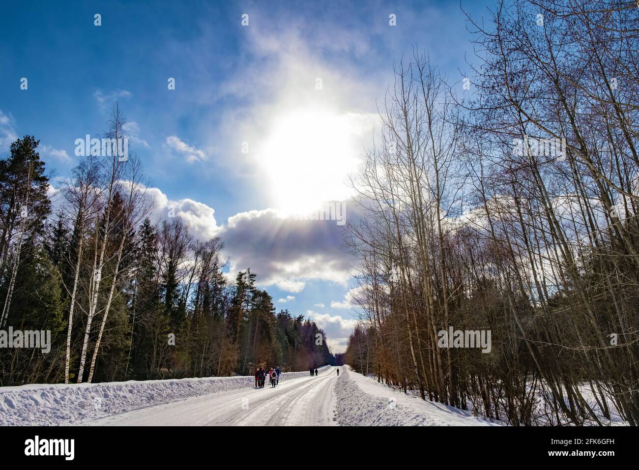 A group of tourists walks along a wide road on a sunny winter day, Russia. Stock Photo