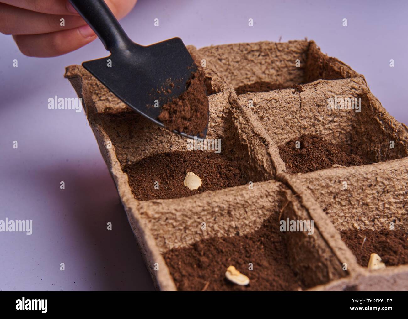 six peat pots with planted seeds in the ground Stock Photo Alamy