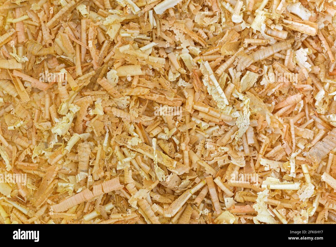 Closeup texture of aromatic flake of Swiss stone pine, Austrian Arolla pine wood chips (Pinus cembra) Stock Photo