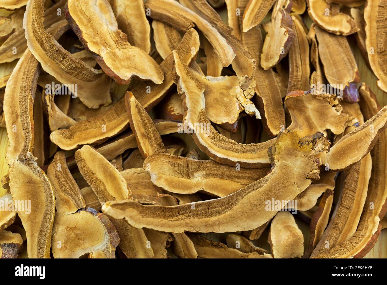 Closeup top view texture of sliced dried Lingzhi reishi mushroom. It is