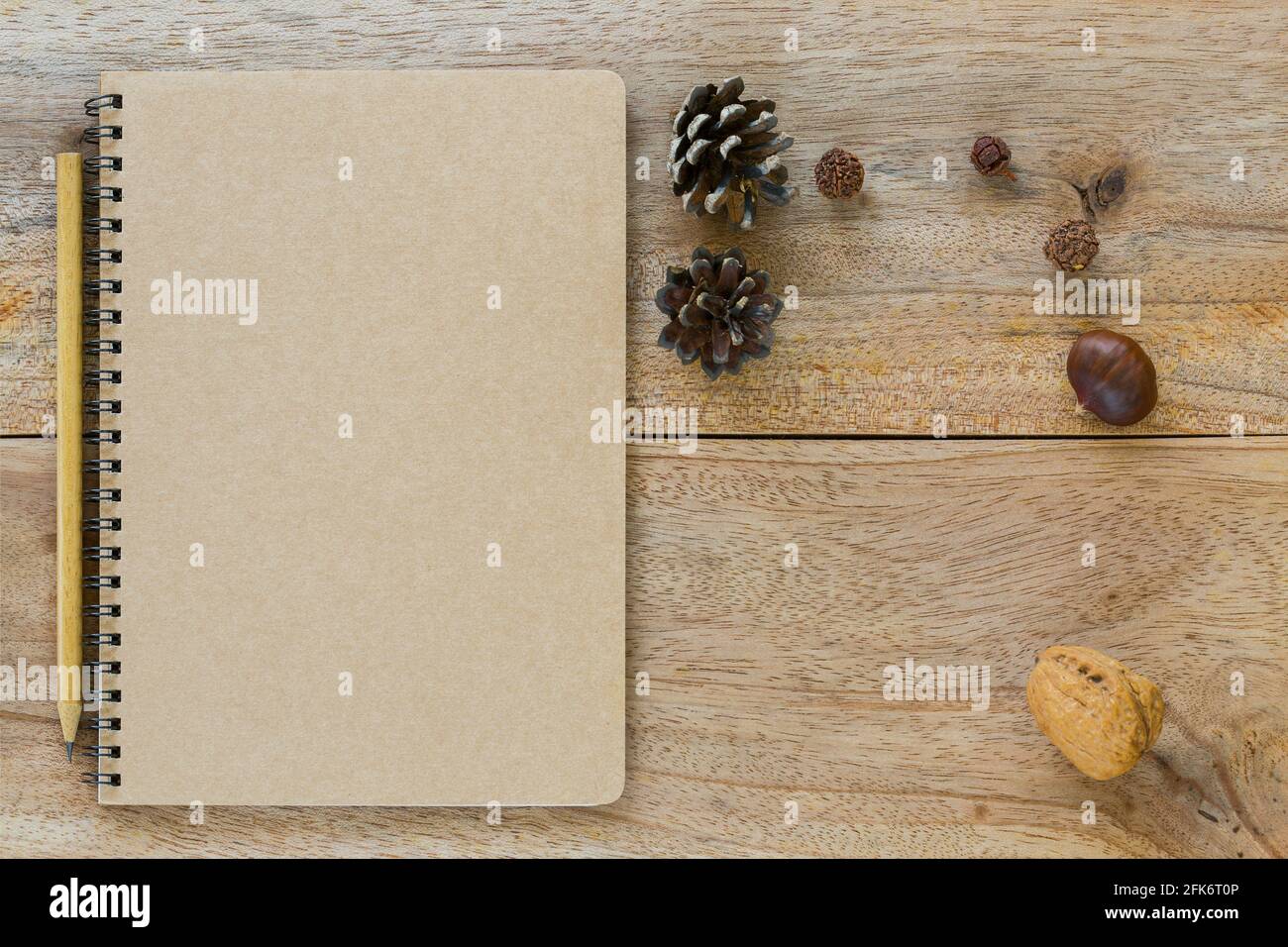 Top view of brown blank notebook with wooden pencil near dried pine cone chestnut walnut on wooden background Stock Photo