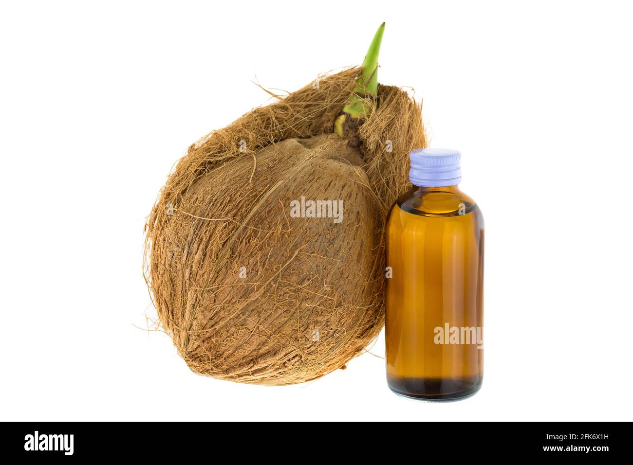 Bottle of Cold pressed coconut oil next to old mature raw coconut shell with brown fiber and green sprout isolated on white background Stock Photo