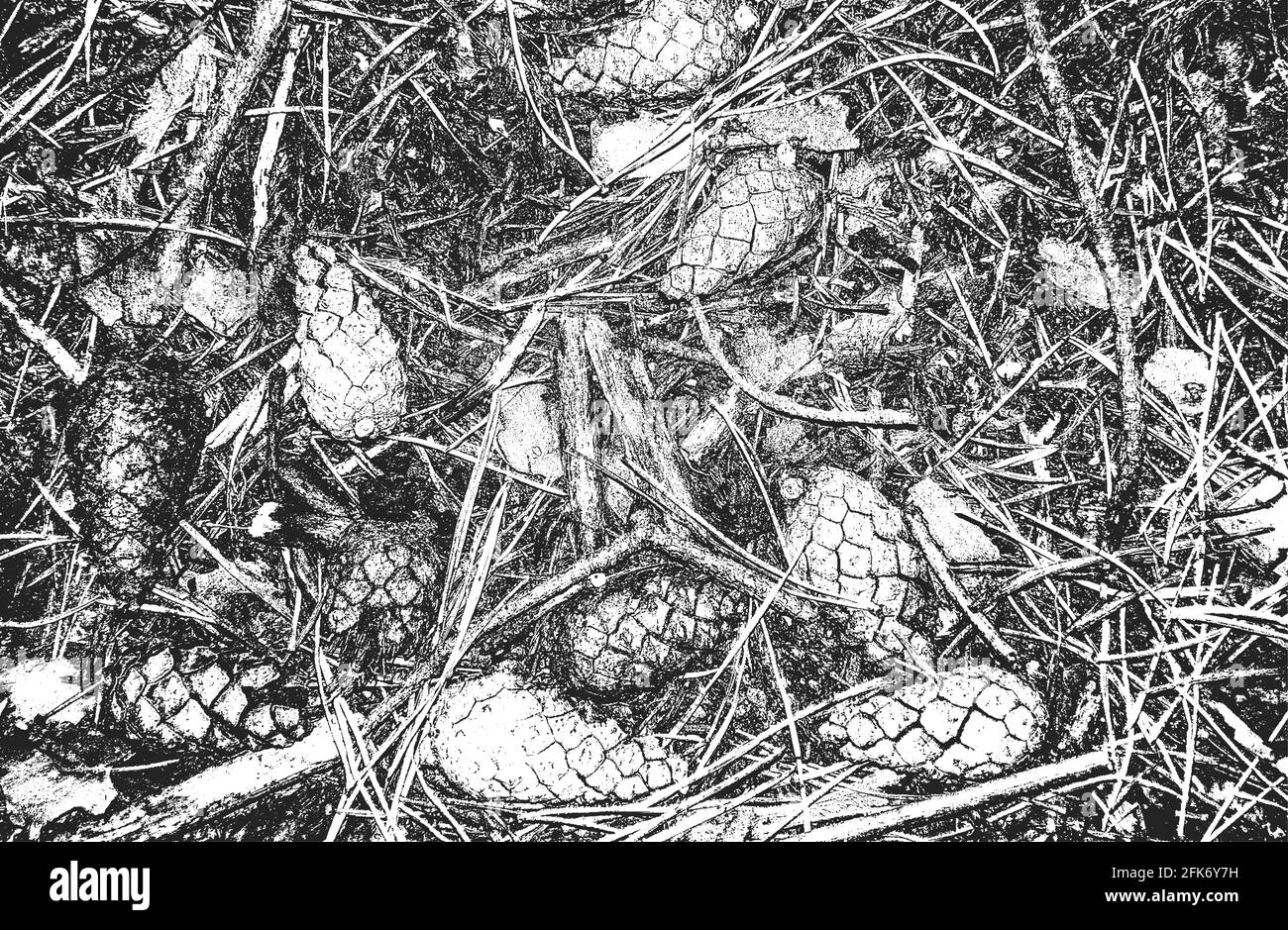 Distressed overlay closeup texture of pine cone, needles. grunge 