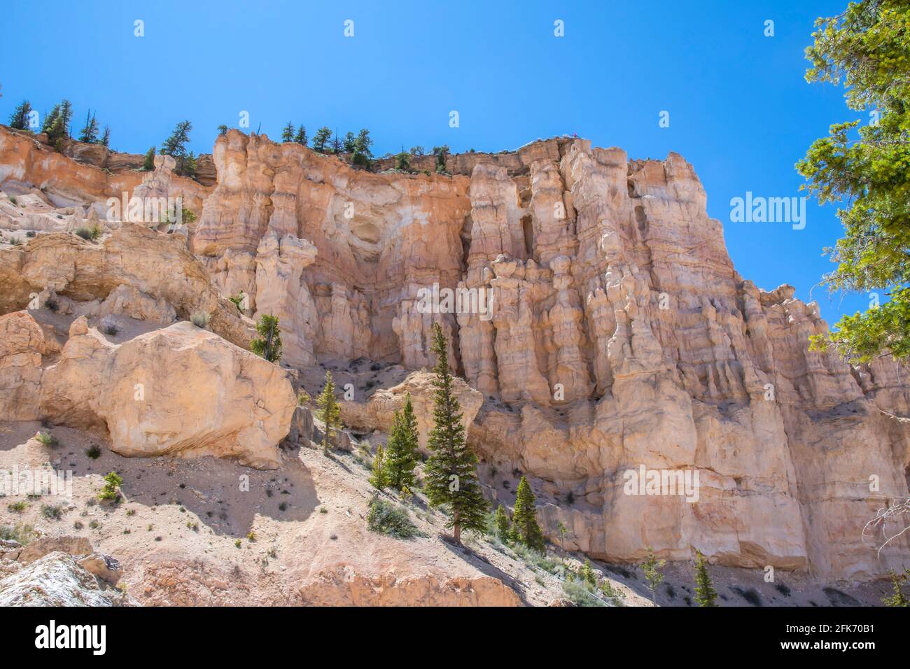 Wild Rocks Utah A natural rock formation of Red Rocks Hoodoos in Bryce Canyon National ...