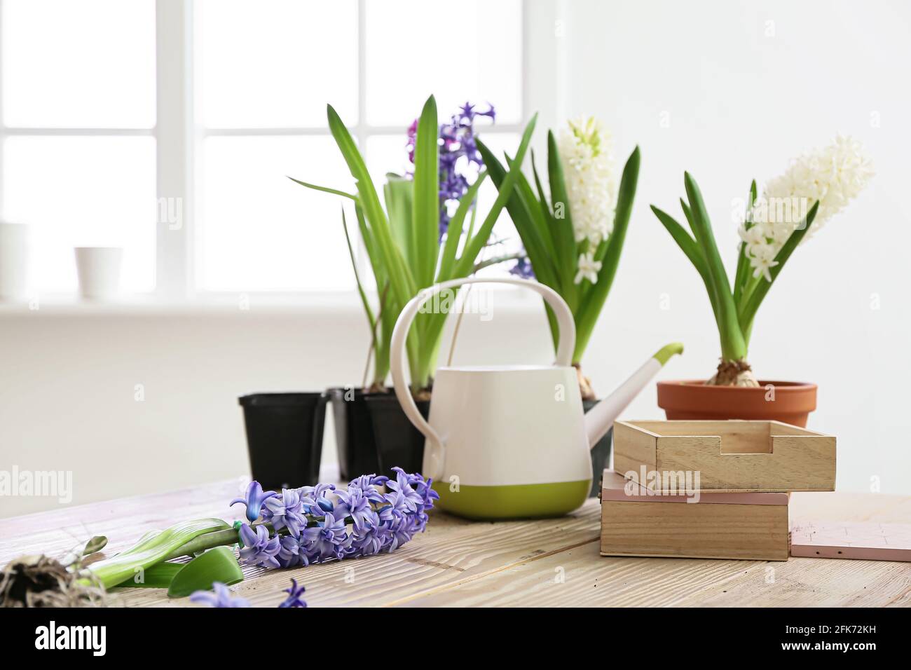 Gardening tools blooming plants hi-res stock photography and images - Alamy