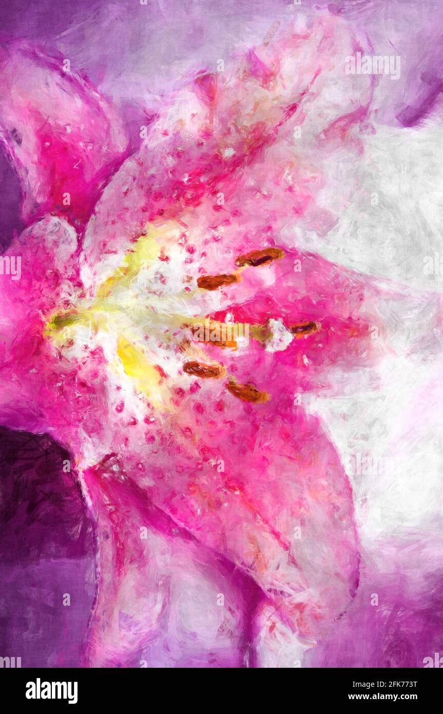 Lily flower with painterly effect Stock Photo