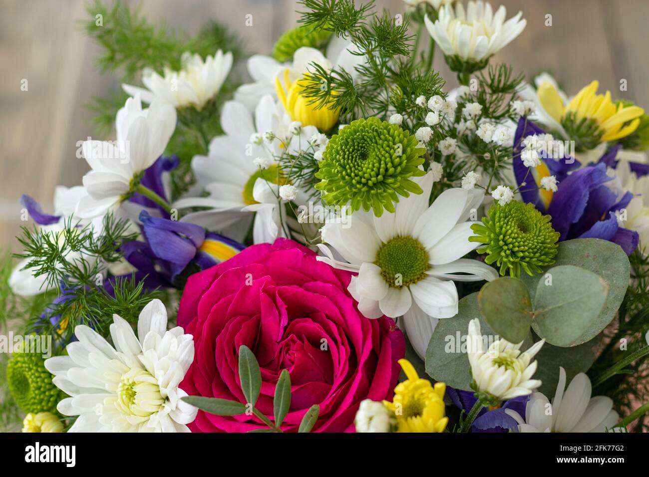 Red chrysanthemums iris hires stock photography and images Alamy