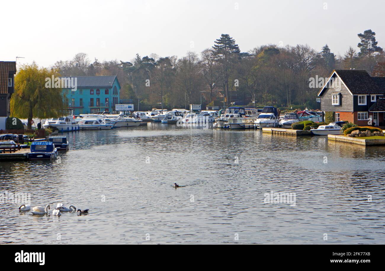 A view of the River Bure downstream of Wroxham Bridge on the Norfolk Broads with boatyards from Hoveton, Norfolk, England, United Kingdom. Stock Photo