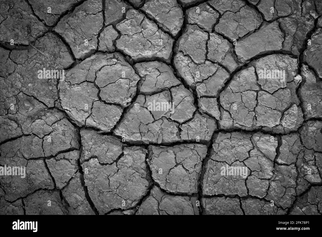 Dry soil in cracks Black and White Stock Photos & Images - Alamy