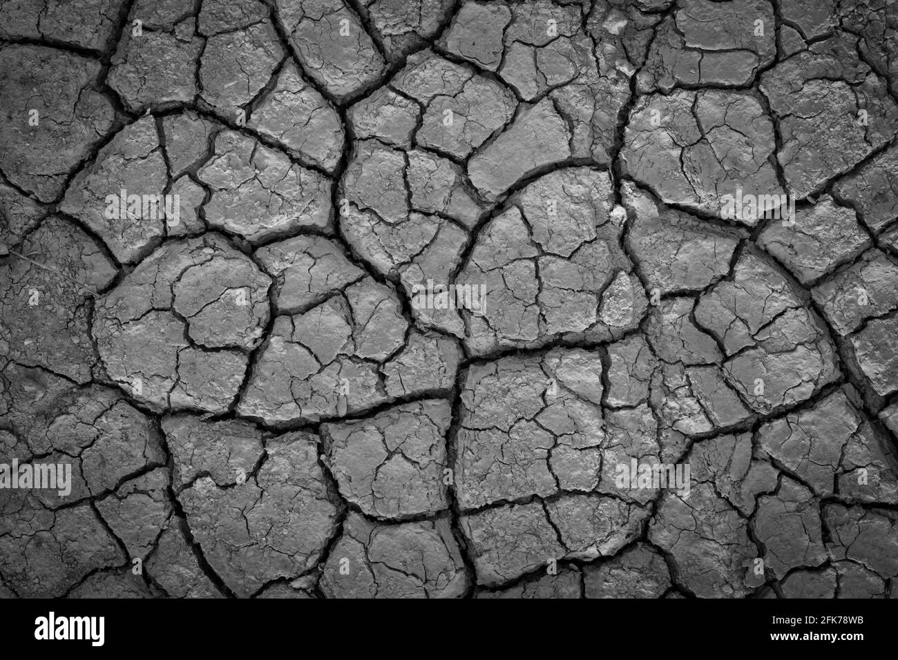 Cracks in dry clay soil Black and White Stock Photos & Images - Alamy