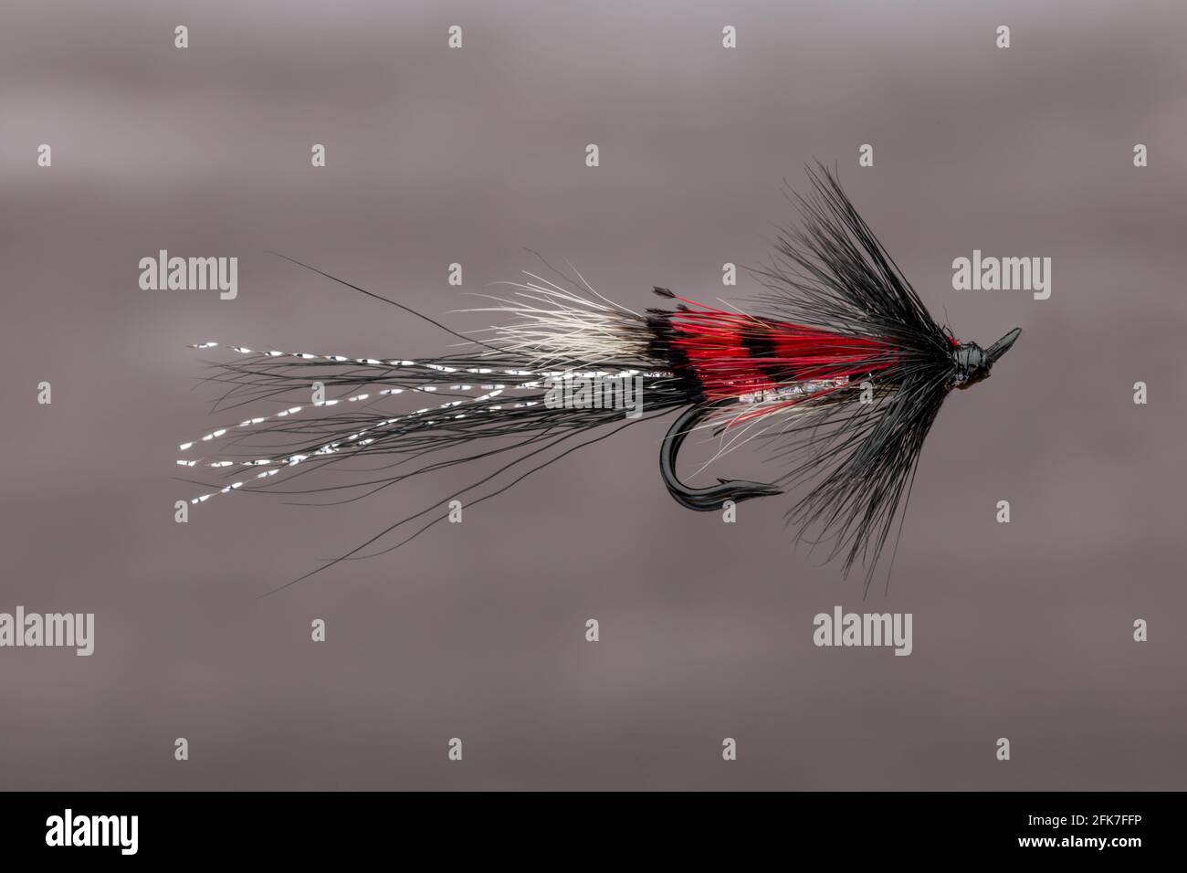 Atlantic Salmon fishing fly an Ally's Black double Shrimp fly Stock Photo
