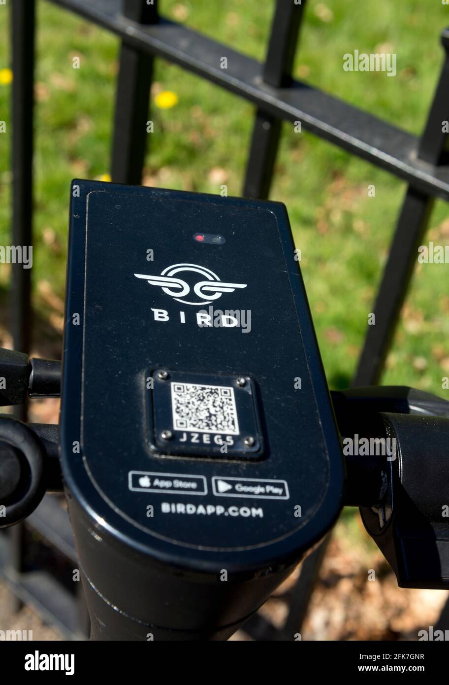 Bird electric scooter hi-res stock photography and images - Alamy