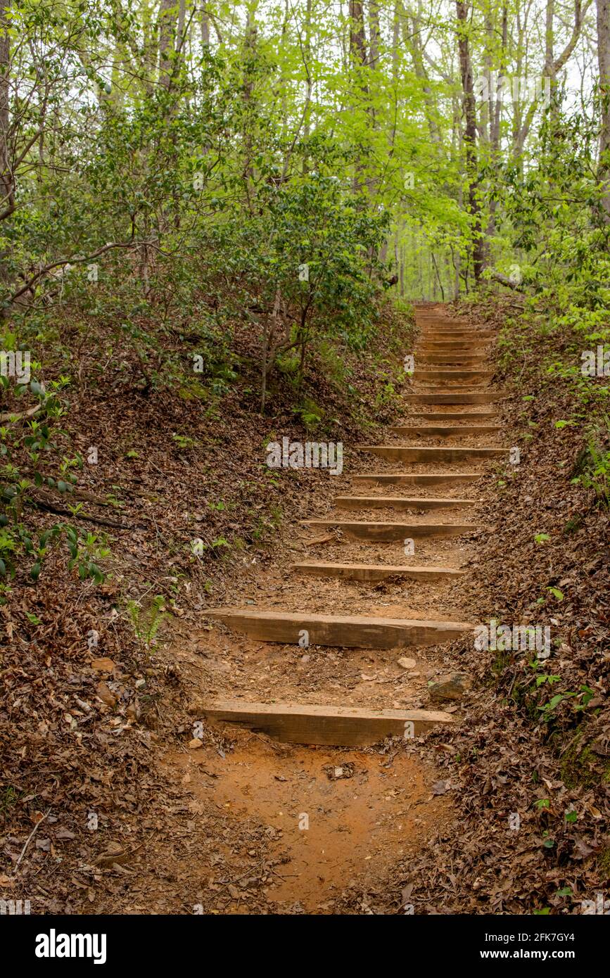 Bridge Loop Trail, Chicopee Woods Nature Preserve - Hall County, Georgia. Stairs lead to the top of a ridge above Homestead Creek. Stock Photo