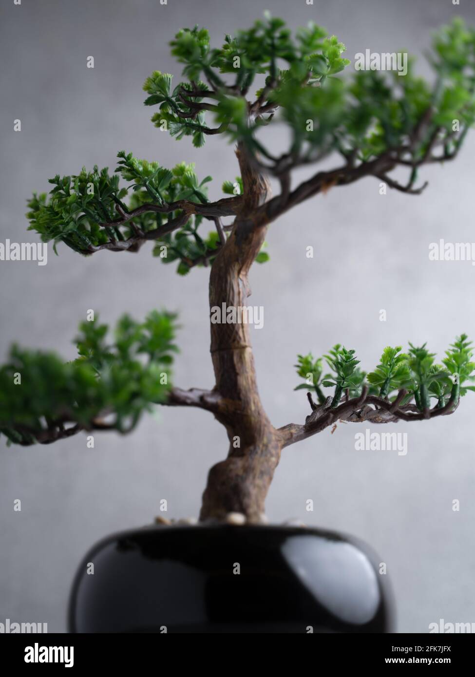 Plastic Bonsai Tree (artificial) with a small pot on a gray background.  Bonsai plant Stock Photo - Alamy