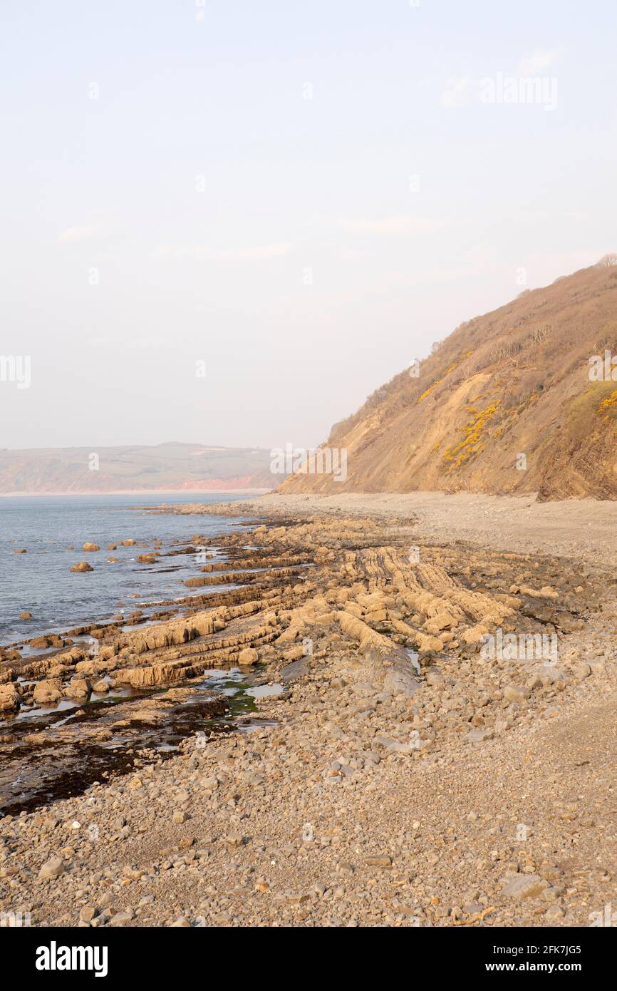 The rocky beach and cliffs at Bucks Mills, North Devon Stock Photo