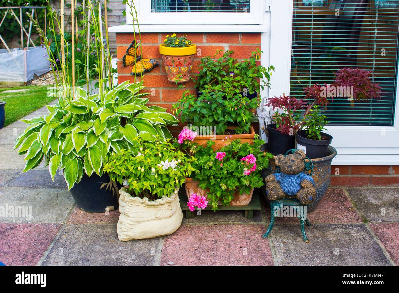 A typical container garden display of herbaceous plants  in a typical English garden in mid June. Stock Photo